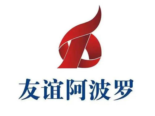 湖南友誼阿波羅商業股份